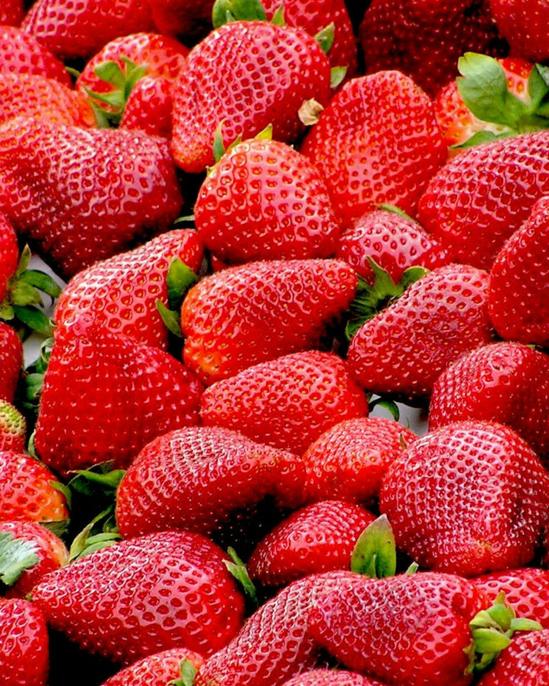 Fresas