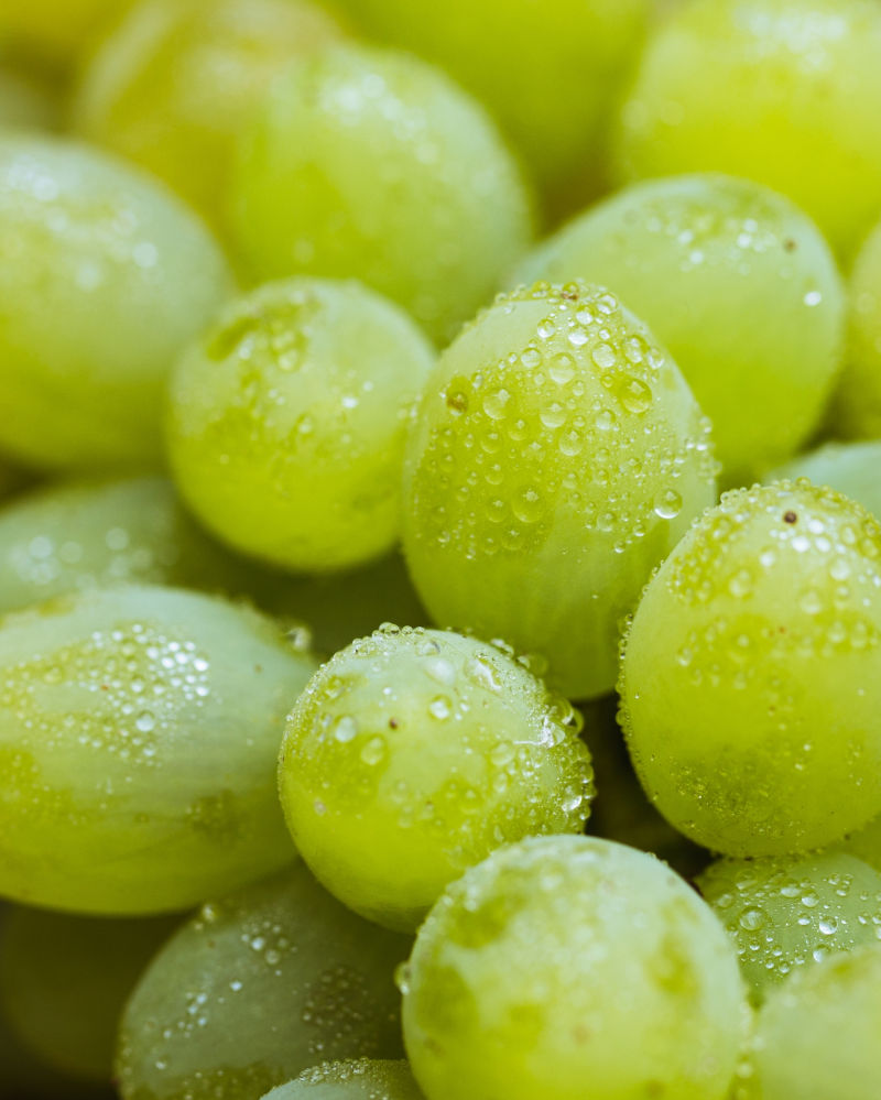 Uvas