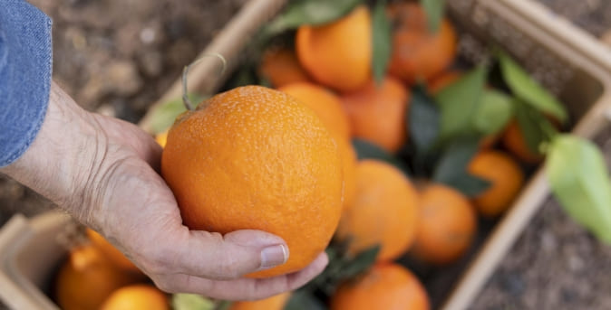 Beneficios1_Naranjas Beneficios1_Naranjas