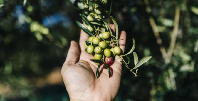 Beneficios3 Beneficios3