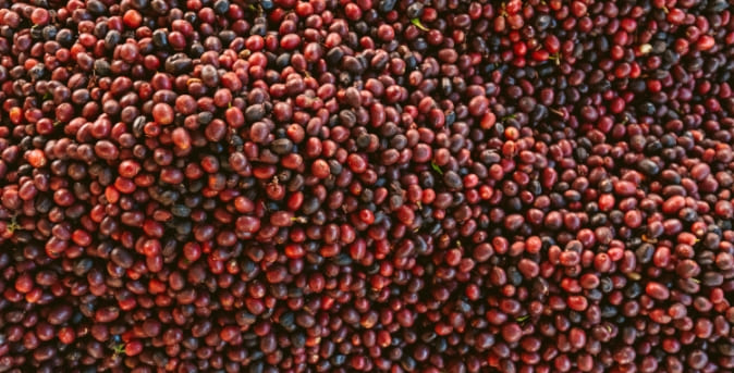 Beneficios4_Café Beneficios4_Café
