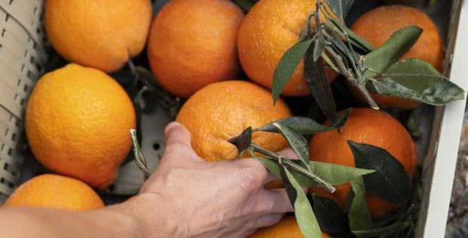 Beneficios4_Naranjas Beneficios4_Naranjas