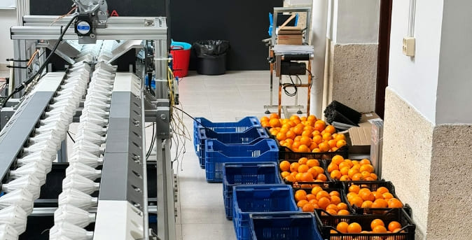 Beneficios5_Naranjas Beneficios5_Naranjas